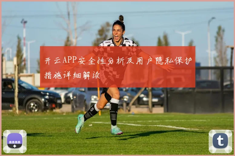 开云APP安全性分析及用户隐私保护措施详细解读