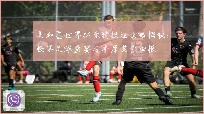美加墨世界杯竞猜投注攻略揭秘，畅享足球盛宴与丰厚奖金回报