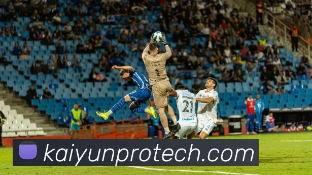 开云平台展示图